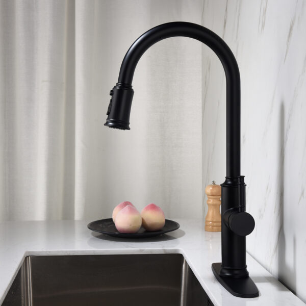 Pull-out Sprinkler Kitchen Faucet - Image 3