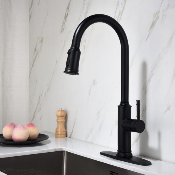 Pull-out Sprinkler Kitchen Faucet - Image 10